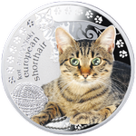 Реверс 1 доллар Ниуэ 2014 года. Европейская кошка, Ниуэ