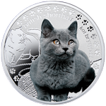 Реверс 1 доллар Ниуэ 2014 года. Британская короткошерстная кошка, Ниуэ