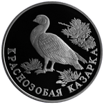 Реверс 1 рубль 1994 года. Краснозобая казарка, Россия
